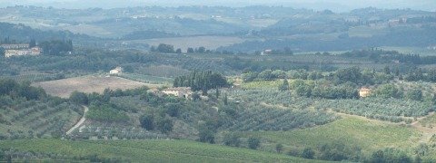 carbon farming | Tuscan farmland