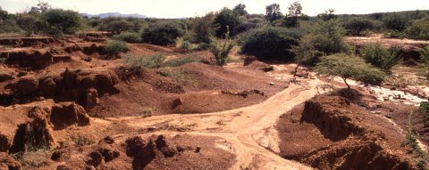 carbon offsets | soil erosion releases carbon